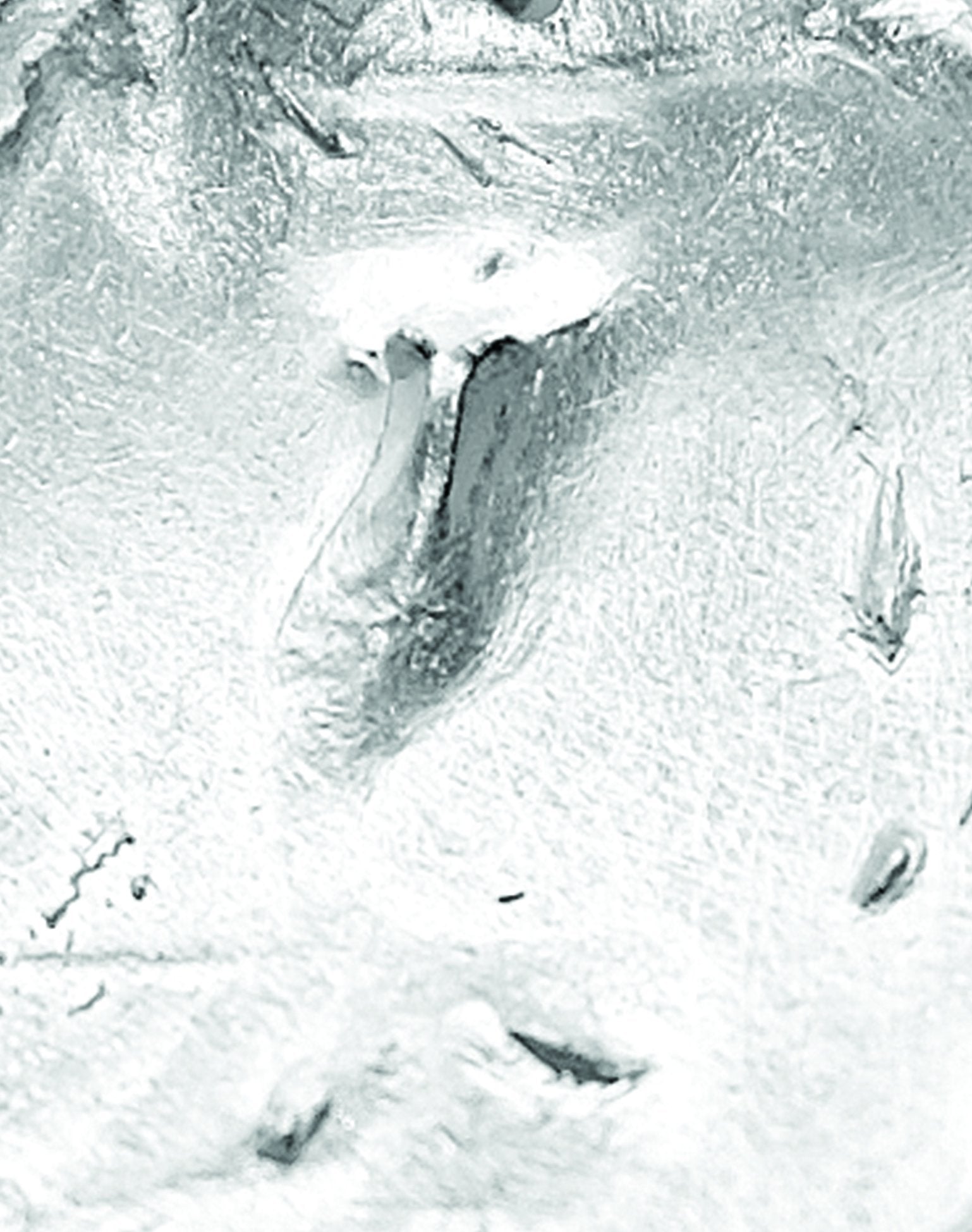 MERMAID'S COIN | NECKLACE